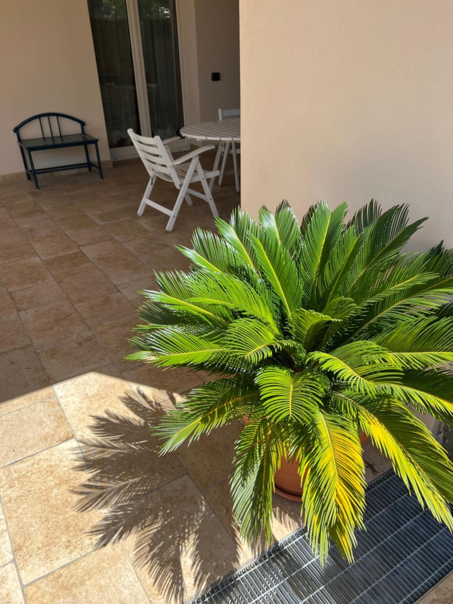 Villa Valentina Cefalù Kültér fotó